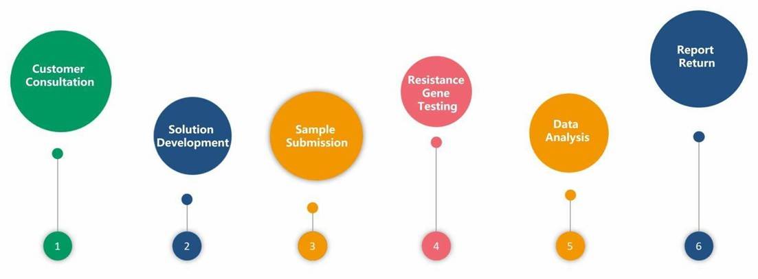 The Workflow of Antibiotic Resistance Genes (ARGs) Analysis Solution.